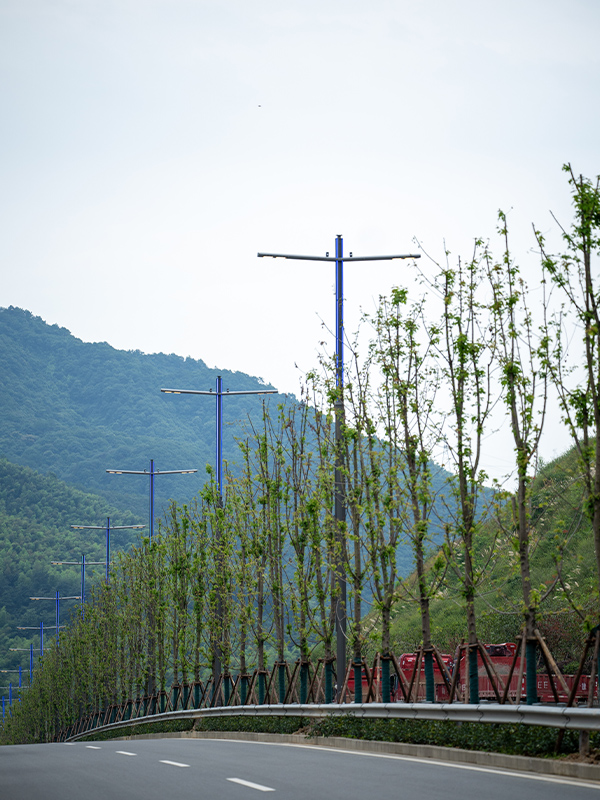 Composite pole